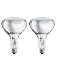 2 stuks Philips Infraroodlamp E27 250W Helder warmtelamp