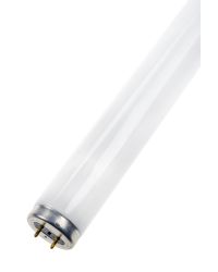 OP=OP TL-buis 15W G13 Blacklight UV-A